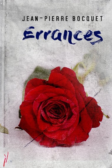 Couverture de Errances